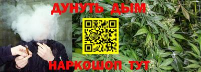 трава Краснодар